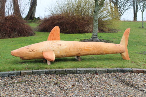 Shark Douglas